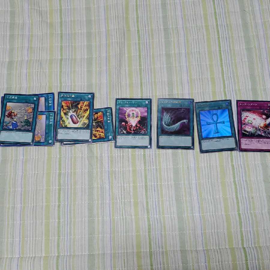 恐竜真竜スクラップ