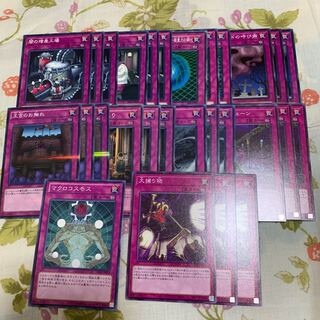 大捕り物　罠セット