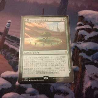 《イトリモクの成長儀式 レア》