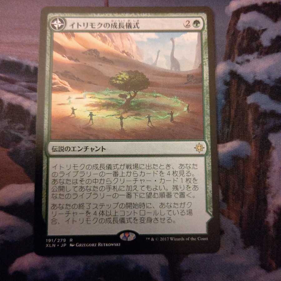 《イトリモクの成長儀式 レア》
