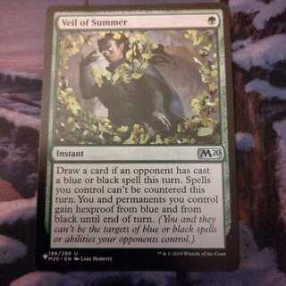 《夏の帳/Veil of Summer》