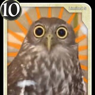 【Sカード】勝利のパレードＬv57