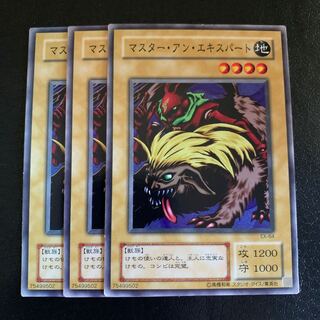 マスター・アン・エキスパート