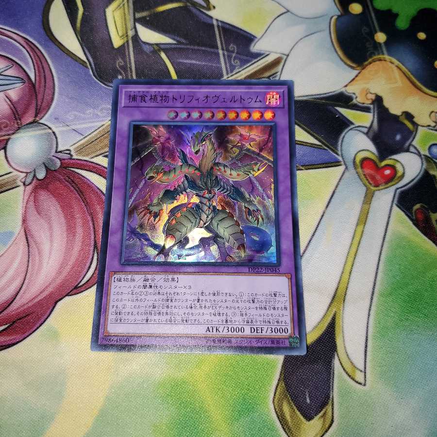 捕食植物トリフィオヴェルトゥム