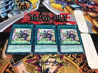 アロマガーデニング ノーマル 3枚セット てら