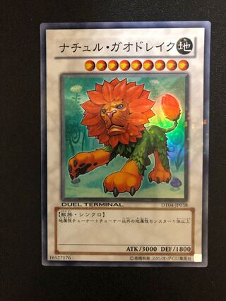 複数同時購入送料値引　遊戯王　ナチュル・ガオドレイク　DTスーパーレア
