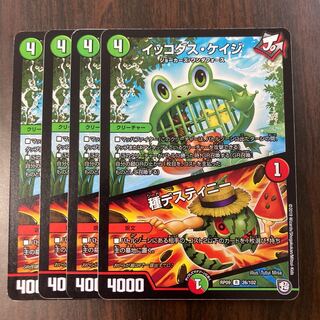 イッコダス・ケイジ｜種デスティニー