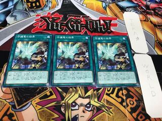 守護竜の結界 ノーマル 3枚セット てら