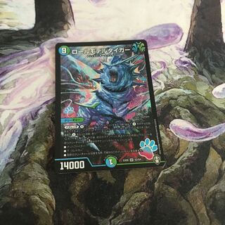 ロールモデルタイガー