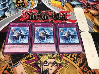 潤いの風 ノーマル 3枚セット てら