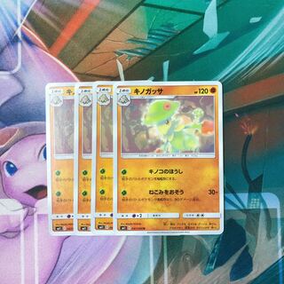 キノガッサ ねこみをおそう