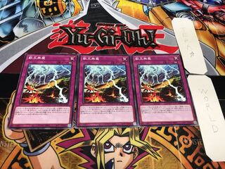 獣王無塵 ノーマル 3枚セット てら