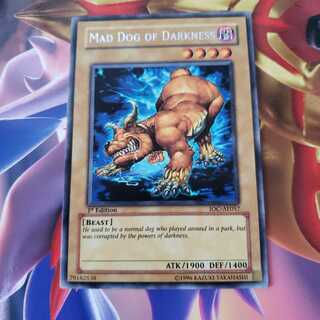 Mad Dog of Darkness Rare Asian version 1stEd