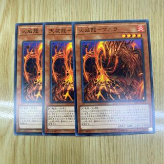 Tenwei Dragon - Manila Normal