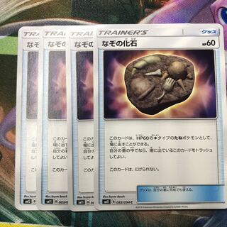 なぞの化石 4枚