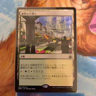 豪勢な大通り　日本語