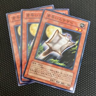 素早いムササビ