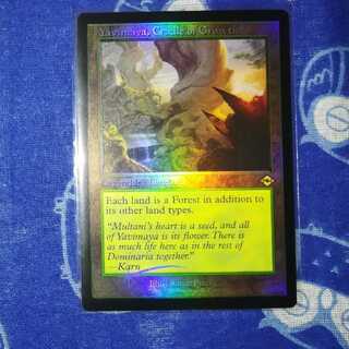 MTG 成長の揺り籠、ヤヴィマヤ 英語版 旧枠foil 1枚 モダンホライゾン2