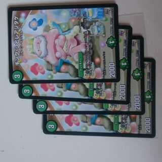 キング・シビレアシダケ