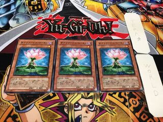 サクリファイス・ロータス ノーマル 3枚セット てら