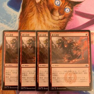 Maximize Velocity Japanese 4 sheets 4枚