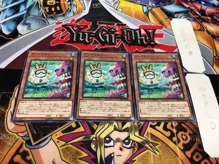 Duck Dummy Normal Set of 3 Tera