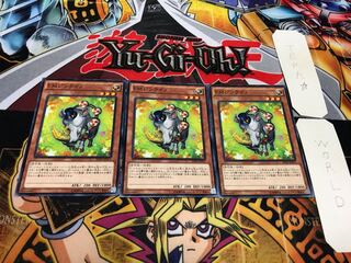 Performapal Thunderhino Normal Set of 3 Tera