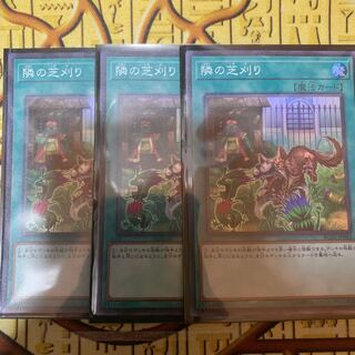 遊戯王 隣の芝刈り スーパー三枚セット