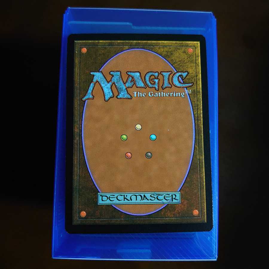 新緑の地下墓地