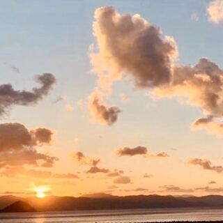 ふーあーゆ様専用