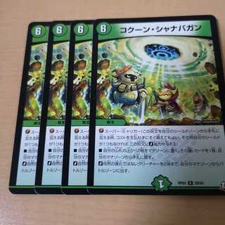 コクーン・シャナバガン 4枚