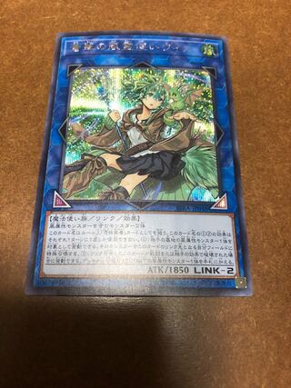 蒼翠の風霊使いウィン シークレットレア