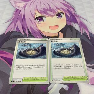 嵐の山脈 U 2枚セット