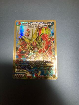 切札勝太&カツキング -熱血の物語- DSR 1枚