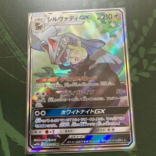 シルヴァディGX SA