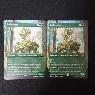 忍耐 英語 ボーダーレス版 2枚