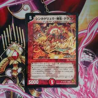 シンカゲリュウ柳生ドラゴン