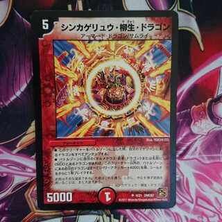 シンカゲリュウ・柳生・ドラゴン