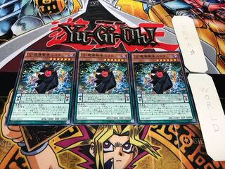 D/D Savant Nikola Normal, set of 3 Tera