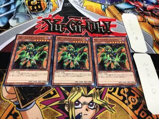 RR-Wild Vulture Normal, set of 3, Tera