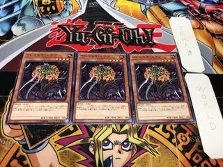 イビルセラ・ルテア ノーマル 3枚セット てら