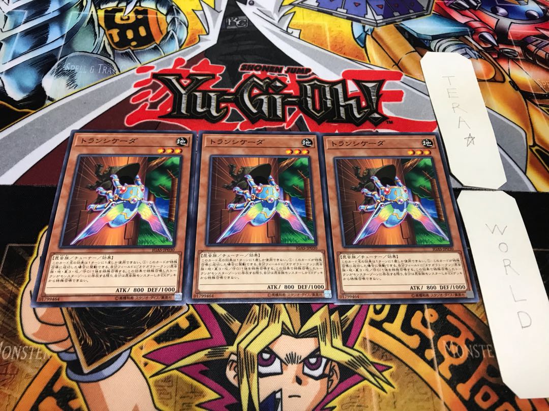 Transcicada Normal, set of 3 Tera.