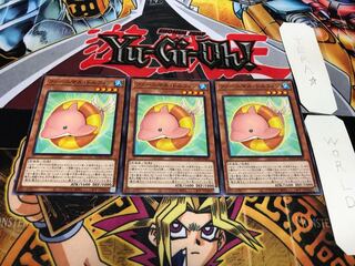 Fluffal Dolphin Normal Set of 3 Tera