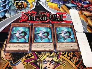 Yamorimori Normal 3-piece set Tera