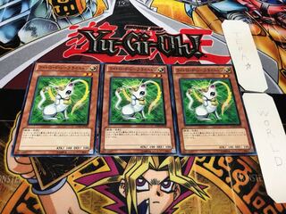Rinyan, Lightsworn Rogue Normal, set of 3 Tera