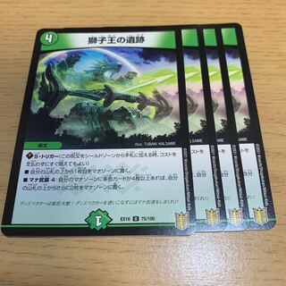 専用　獅子王の遺跡 U カーネル