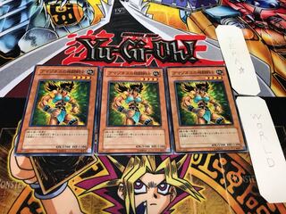 アマゾネスの格闘戦士 ノーマル 3枚セット てら