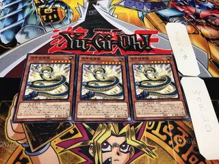 弾帯城壁龍 ノーマル 3枚セット てら