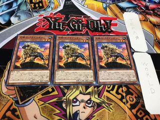 Crusadia Leonis Normal, set of 3 Tera.