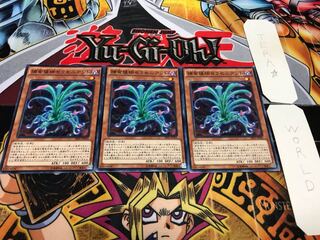 捕食植物セラセニアント ノーマル 3枚セット てら